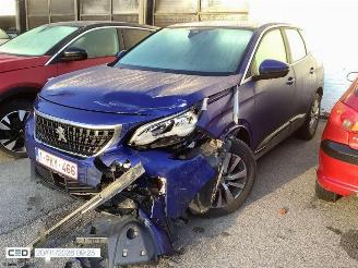 Peugeot 3008 ACTIVE picture 12