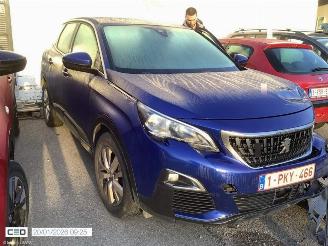 Peugeot 3008 ACTIVE picture 11