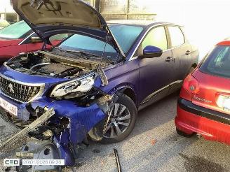 Peugeot 3008 ACTIVE picture 6