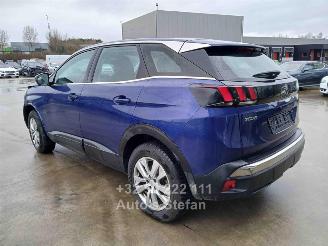Peugeot 3008 ACTIVE picture 38