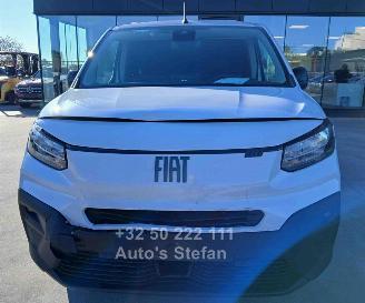 Fiat Doblo  picture 2