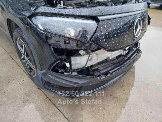 Mercedes EQB 250 + picture 17