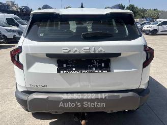 Dacia Duster EXPRESSION picture 21