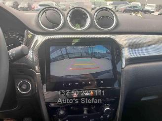 Suzuki Vitara  picture 9