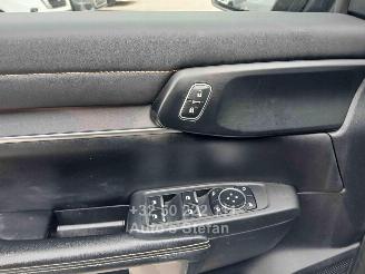 Ford Ranger WILDTRAK picture 15