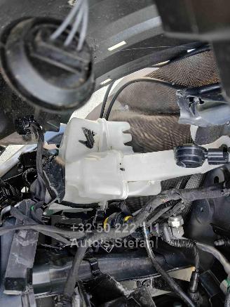 Nissan Juke BUSINESS ACCESS picture 40