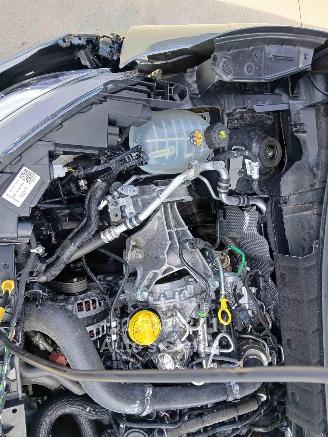 Nissan Juke BUSINESS ACCESS picture 24