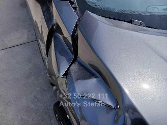 Nissan Juke BUSINESS ACCESS picture 30