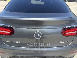 Mercedes GLC 250 4 MATIC picture 25