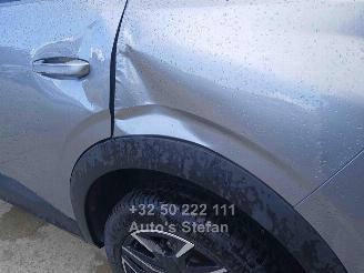 Peugeot 3008  picture 19