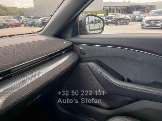 Ford Mustang MACH-E  600PK picture 19