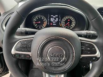 Jeep Renegade LONGITUDE picture 14
