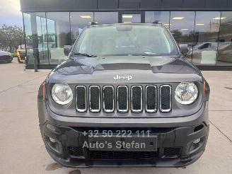 Jeep Renegade LONGITUDE picture 2
