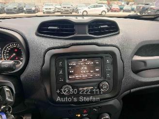 Jeep Renegade LONGITUDE picture 13