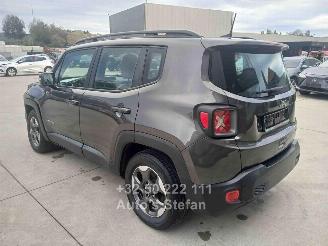 Jeep Renegade LONGITUDE picture 4