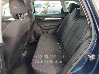 Skoda Karoq AMBITION picture 13