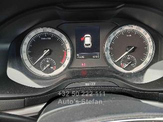 Skoda Karoq AMBITION picture 17