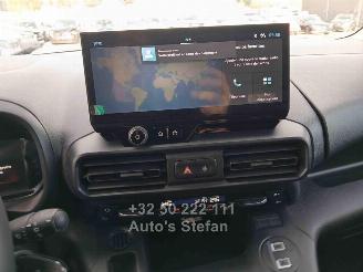 Citroën Berlingo XTR picture 11