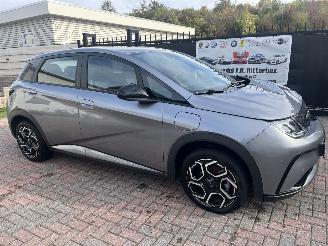 BYD Dolphin DOLPHIN BEV 65kWh Design picture 6