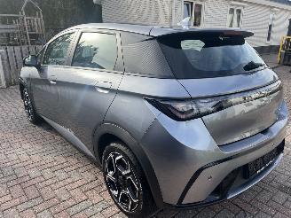 BYD Dolphin BEV 65kWh Design picture 5