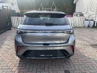 skadebil auto BYD Dolphin BEV 65kWh Design 2024/7