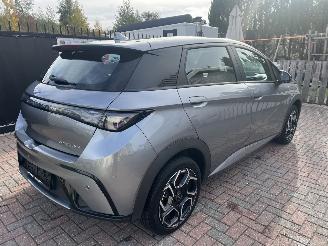 BYD Dolphin BEV 65kWh Design picture 4