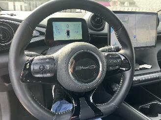 BYD Dolphin BEV 65kWh Design picture 19