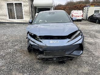 BYD  SEALION/7 DESIGN  4X4 FULL-OPTION picture 5