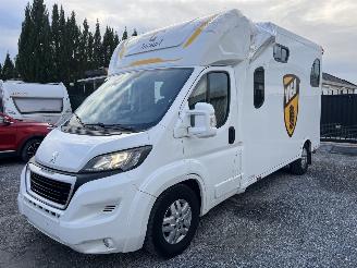 Peugeot Boxer THEAULT PROTEO  PFERDE picture 7