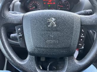 Peugeot Boxer THEAULT PROTEO  PFERDE picture 17