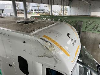 Peugeot Boxer THEAULT PROTEO  PFERDE picture 25