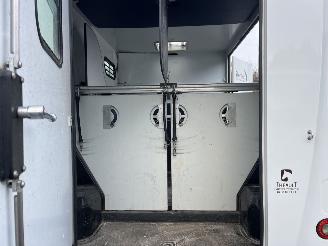 Peugeot Boxer THEAULT PROTEO  PFERDE picture 19