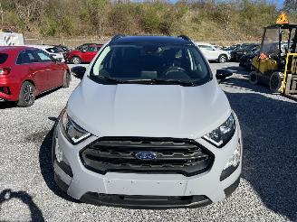 Ford EcoSport Active Navi,Winterpaket,Kamera 2022/4