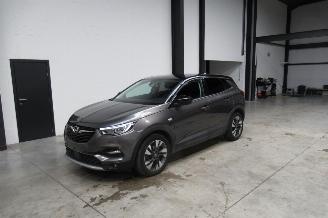 Unfallwagen Opel Grandland SUV 2019/9