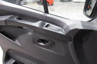 Renault Trafic CAMIONETTE picture 23