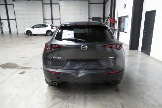 Mazda CX-30 SUV picture 4