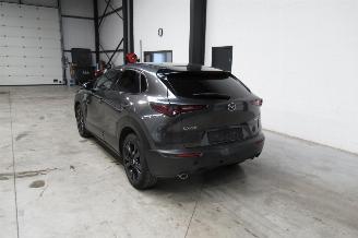 Mazda CX-30 SUV picture 3