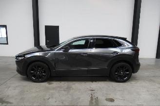 Mazda CX-30 SUV picture 2