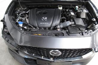 Mazda CX-30 SUV picture 11