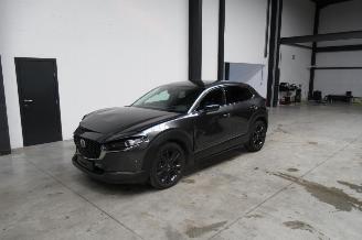  Mazda CX-30 SUV 2023/9