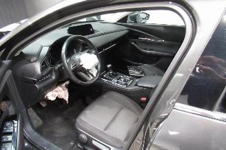 Mazda CX-30 SUV picture 30