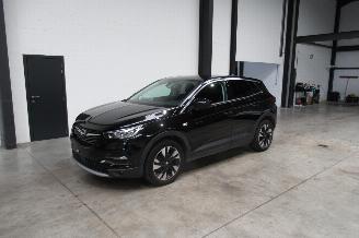 Schadeauto Opel Grandland SUV 2020/9