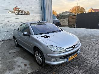 Peugeot 206 PEUGEOT 206cc 2004 1.6I picture 4