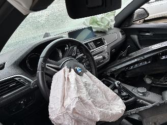 BMW M2 BMW M2 2019 picture 13