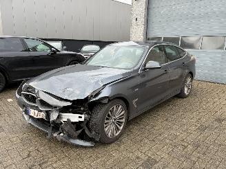  BMW 3-serie GT BMW 318GT 2014 2014/5