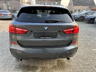 BMW X1 BMW X1 sDrive 18d 2019 M picture 11