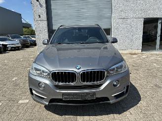 BMW X5 BMW X5 3.0D 2014 picture 3