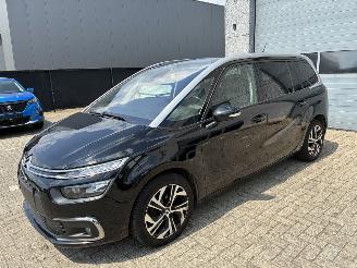 Coche accidentado Citroën C4 CITROEN C4 1.5D 2021 7 ZIT 2021/4