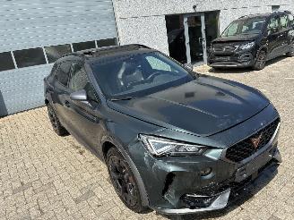 Cupra Formentor CUPRA FORMENTOR E-HYBRID 2021 picture 13