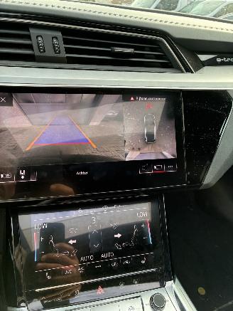 Audi E-tron AUDI e-tron 55 quattro 2020 picture 19